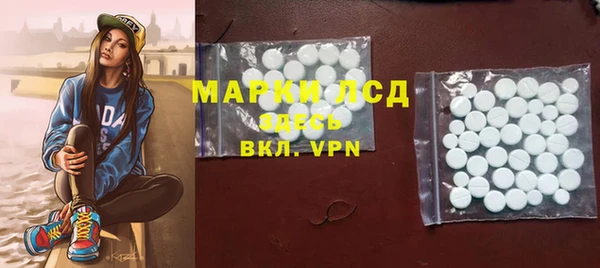 стафф Вязьма