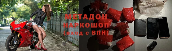 прущие грибы Вяземский