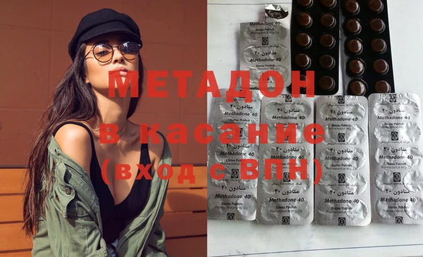 прущие грибы Вяземский