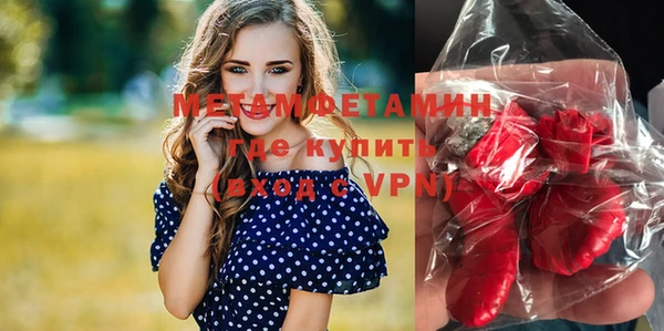 прущие грибы Вяземский