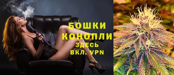 стафф Вязьма