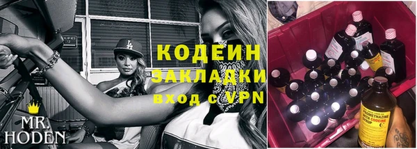 прущие грибы Вяземский