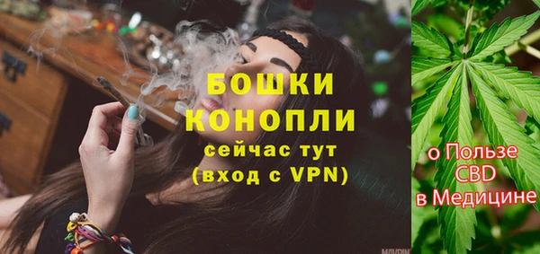прущие грибы Вяземский